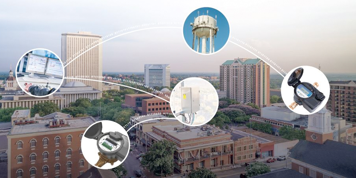 Neptune® Network-as-a-Service(NaaS)
