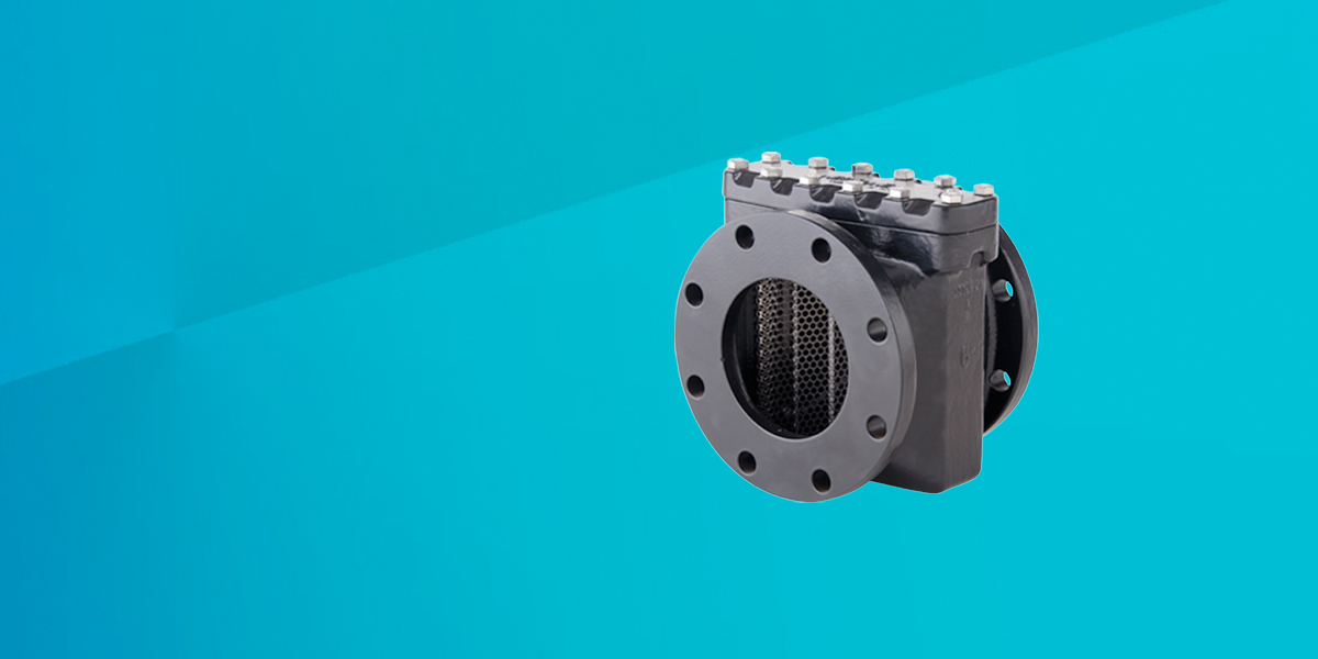 Neptune® Strainer